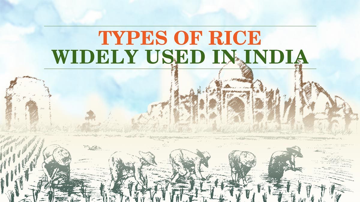 Types of Rice Widely Used in India