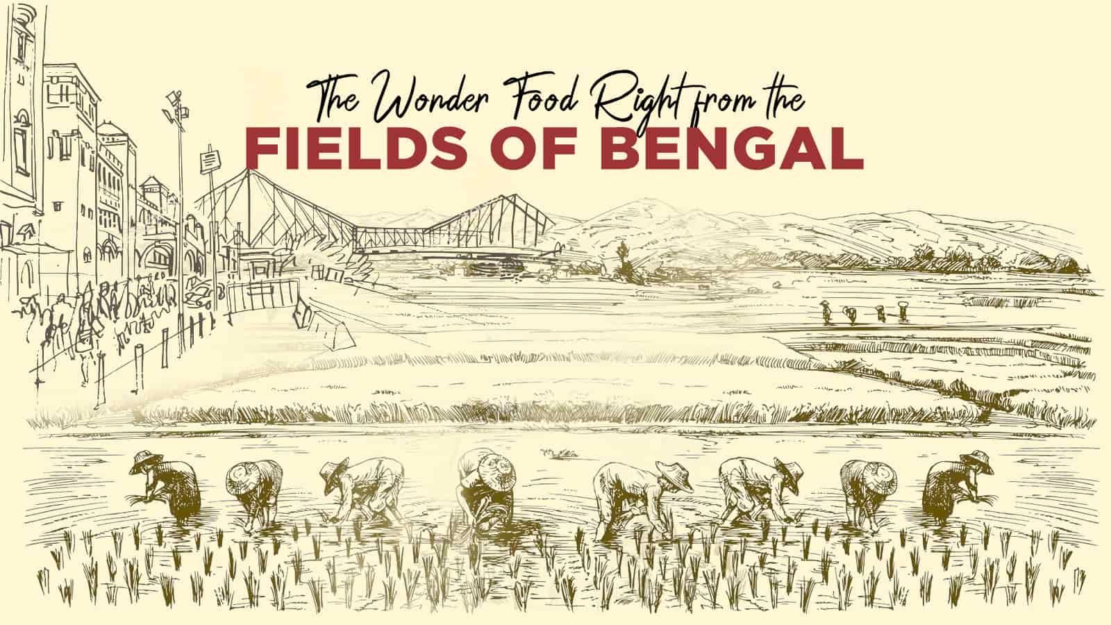 The Wonder Food right from the fields of Bengal