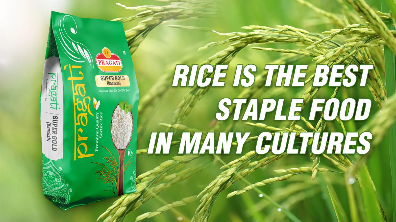Rice is the best staple food in many cultures