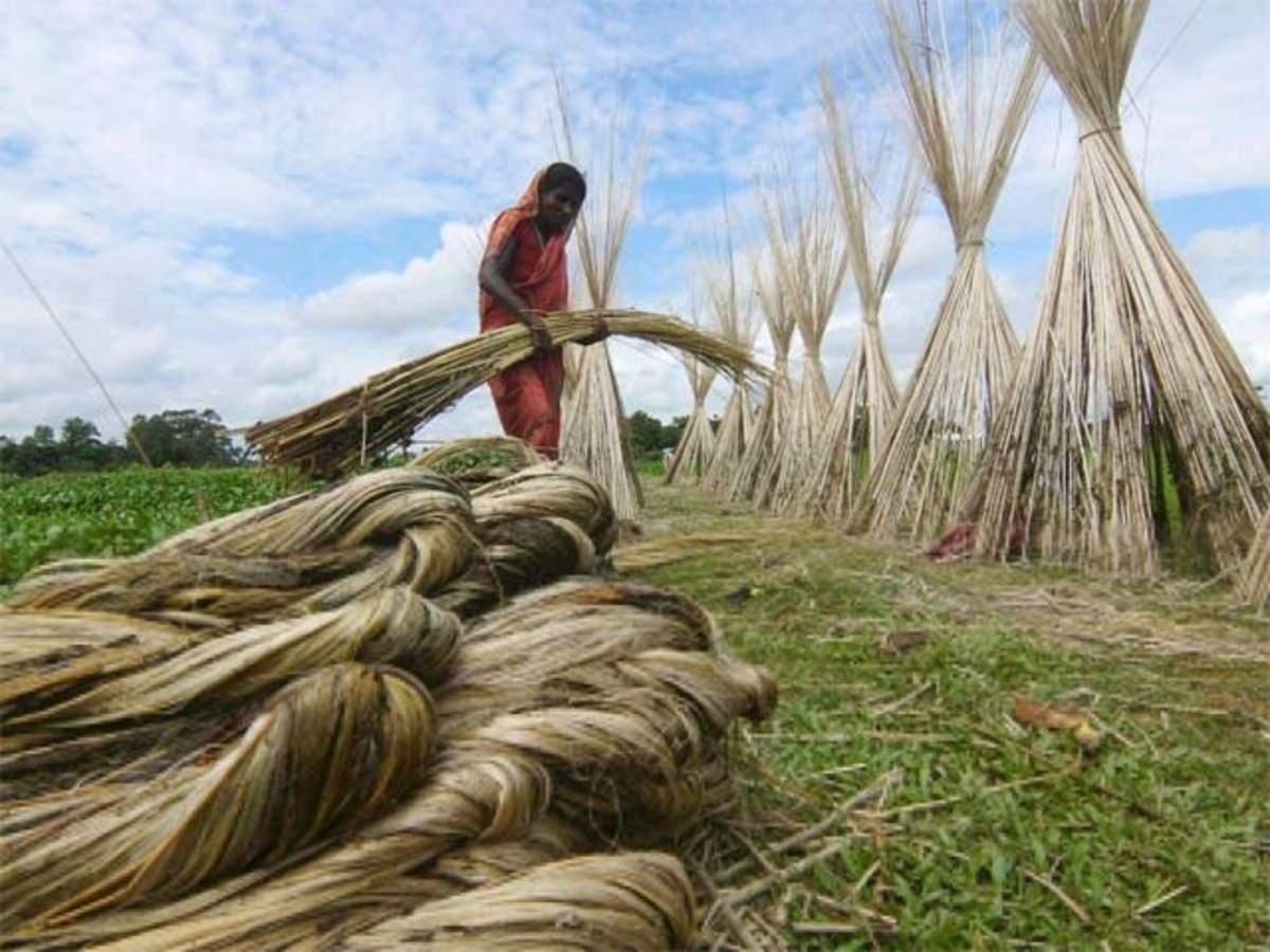 Rice-An Integral Part Of Bengali Diet and Life