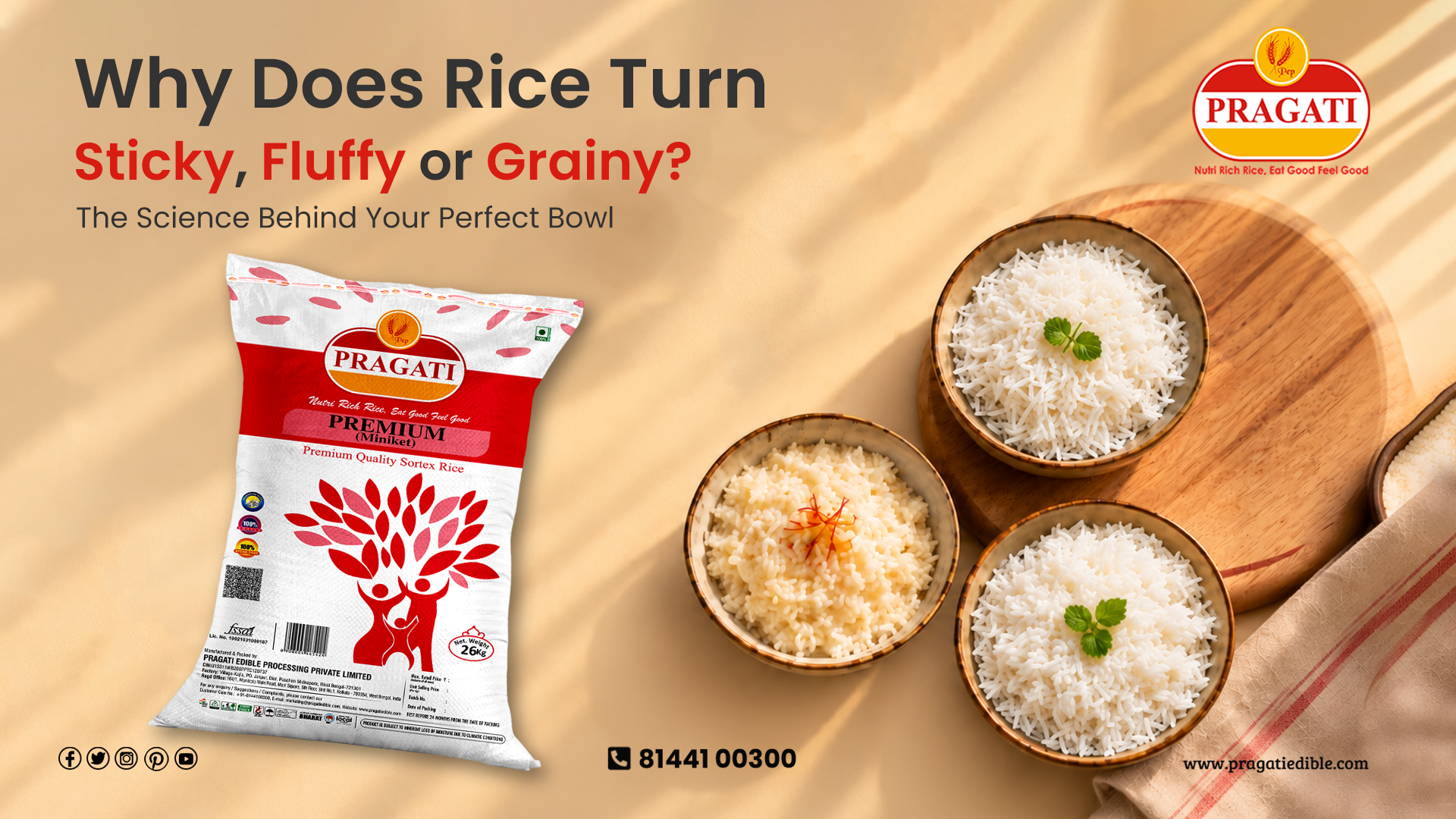 Why Does Rice Turn Sticky, Fluffy or Grainy? The Science Behind Your Perfect Bowl